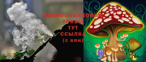 гашиш Пересвет