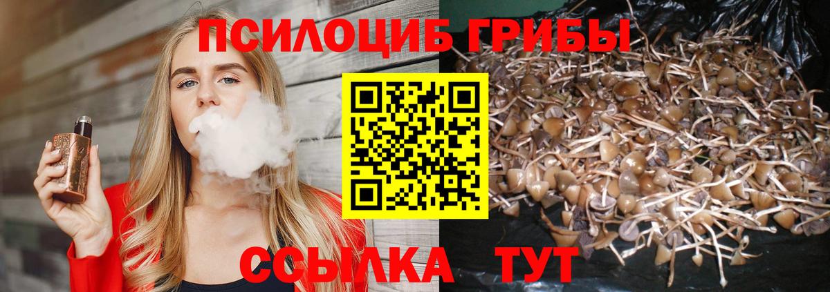 Псилоцибиновые грибы мицелий Апрелевка