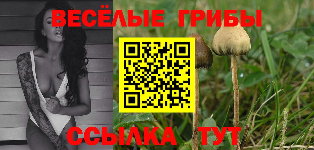 Апрелевка  МАРИХУАНА  Alpha PVP СОЛЬ   МЕФ кристаллы  Цена  Кокаин  ГАШИШ  Вход с VPN  Марихуана 